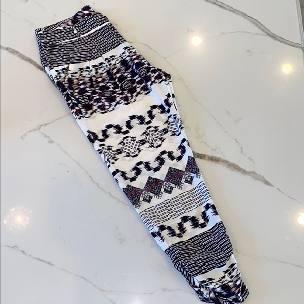 Parker Devlin Silk Pant